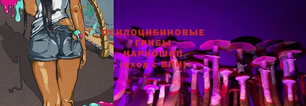 круглые Алексеевка