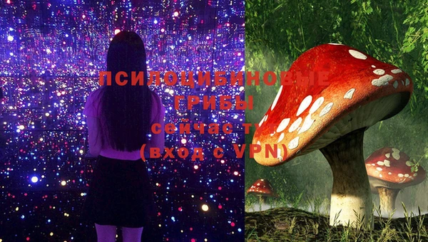 хмурый Алексин