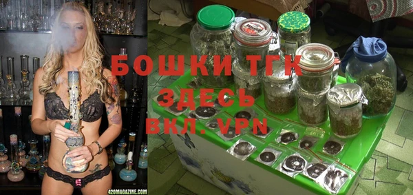 трава Алзамай