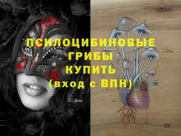 хмурый Алексин