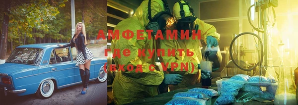 хмурый Алексин