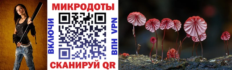 KRAKEN ССЫЛКА Сосенский Галлюциногенные грибы мицелий